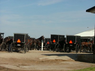 Amish parking lot! 4485.JPG