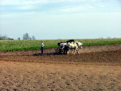 Plowing while standing on a board. 4488.JPG