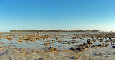 Heron Island, Great Barrier Reef, Australia from the reef at low tide.