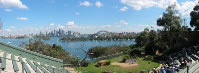 Sydney from the Taronga Zoo bird show.