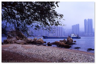 Lei Yue Mun - 鯉魚門