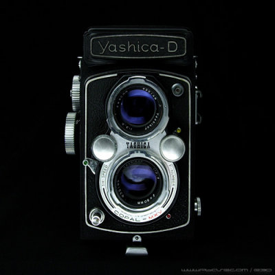 Yashica-D