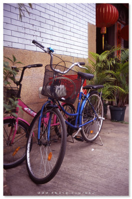 Tai O - 大澳