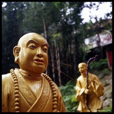 Ten Thousand Buddhas Monastery - 萬佛寺