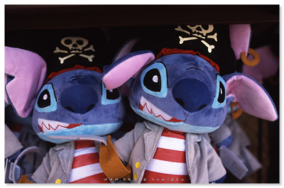 Pirates Stitch - 海盜史迪仔
