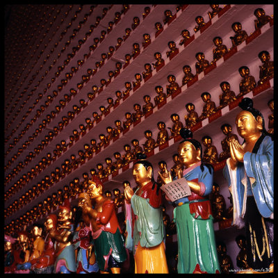 Ten Thousand Buddhas Monastery - Ux