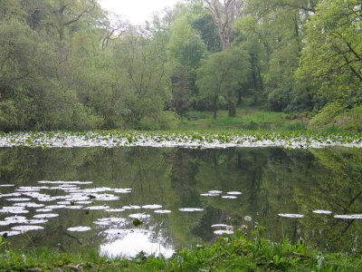 pencarrow 008.jpg