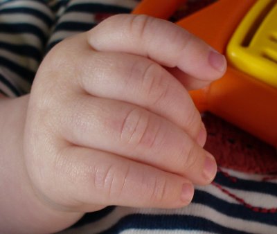 hand.jpg