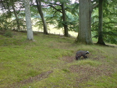 DSC00041.jpg