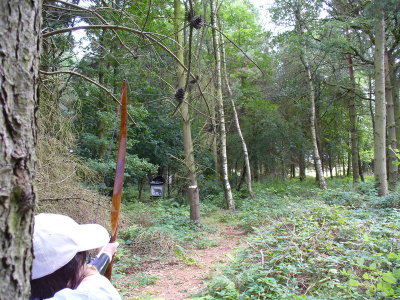 stonebow_06.JPG