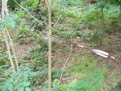 stonebow_13.JPG