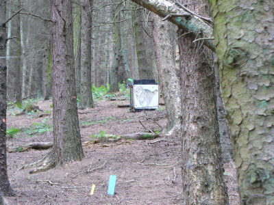 foxhill09-07_11.JPG