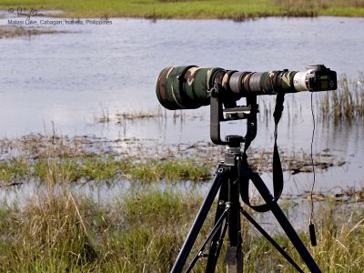 HEAVY ARTILLERY. The 350D + Sigmonster + Canon 2x TC struggles to bring the distant ducks closer.... even 1600 mm was not enough firepower to make the birds full frame.

[1DM2 + 100-400 IS, hand held]