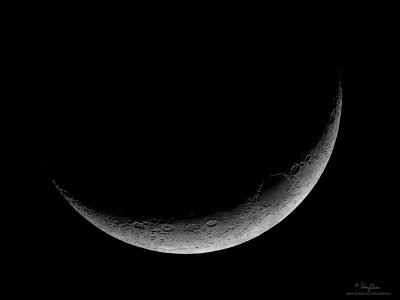 Manila Moon - June 18, 2007

[350D + Sigmonster + Sigma 1.4x TC, 1120 mm]