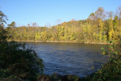 IMG_4536.JPG