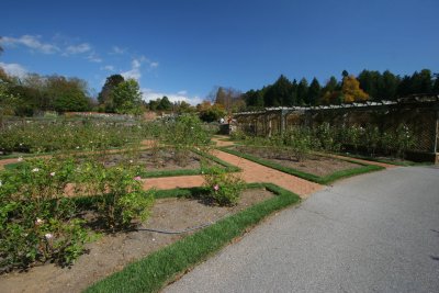 IMG_4600.JPG