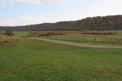 IMG_4707.JPG