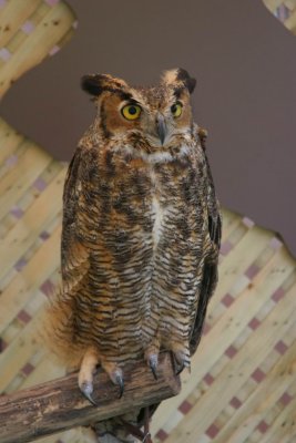 IMG_4711.JPG