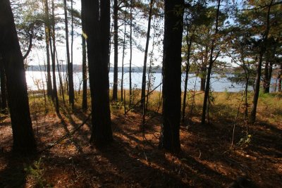 IMG_4859.JPG