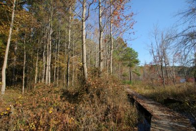 IMG_4904.JPG