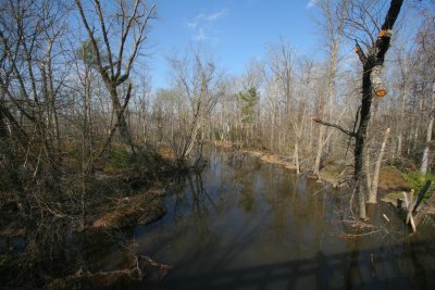 IMG_4937.JPG