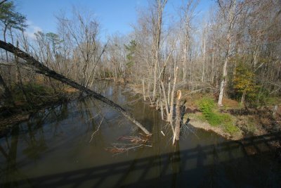 IMG_4945.JPG