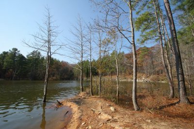 IMG_5002.JPG