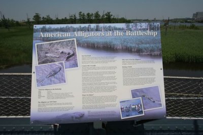 IMG_6702.JPG