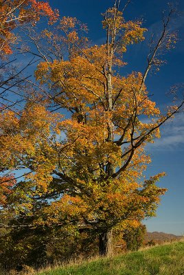 10-15-06 080.jpg
