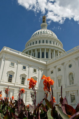 Washington, DC