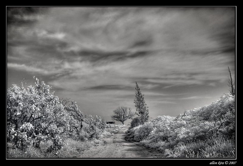 hdr7.jpg