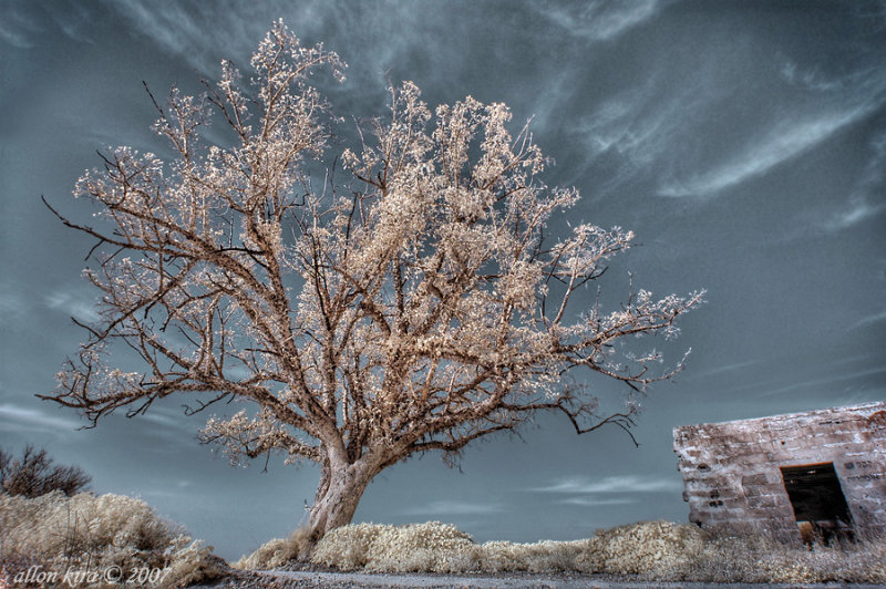 DSC_0005hdr.jpg