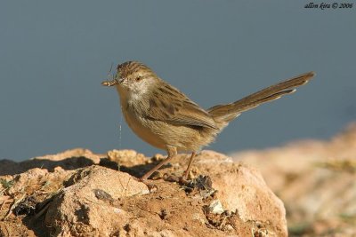 IMG_9949.jpg