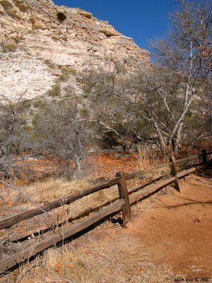 Arizona