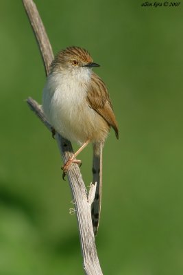 IMG_1439.jpg