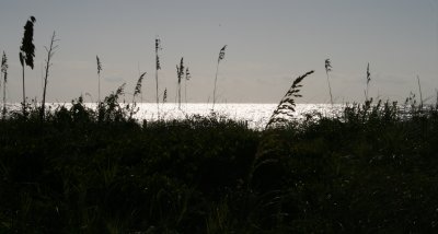 IMG_0686.JPG