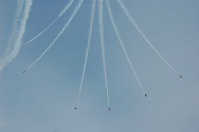 g6/41/561341/3/85924663.8I6H7oUH.jpg