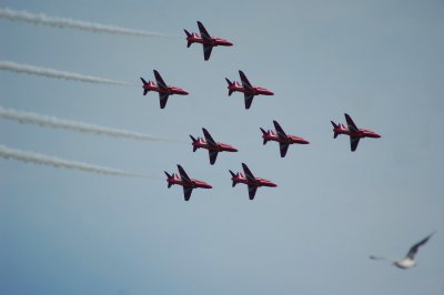 g6/41/561341/3/85926488.xR5e9cEb.jpg