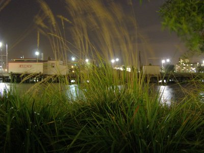 Shit Creek at Night