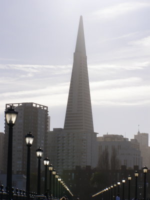 View from Pier 7