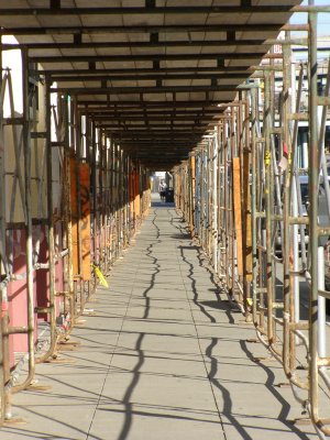 Trader Joes Scaffolding