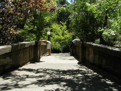 Lithia Park