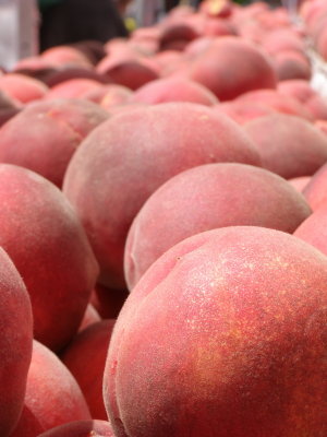  Millions of peaches peaches for me. Millions of peaches peaches for free.