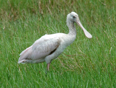 DSC_0037_edited-1.jpg