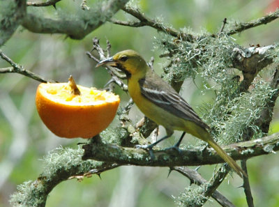 DSC_0041_edited-1.jpg