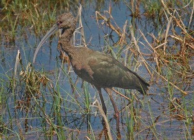 DSC_0048_edited-1-1.jpg