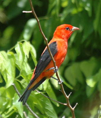 DSC_0073_edited-1.jpg