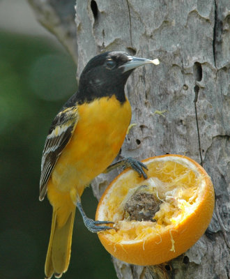 DSC_0037_edited-1-1.jpg