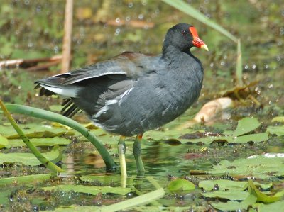 DSC_0013_edited-1.jpg