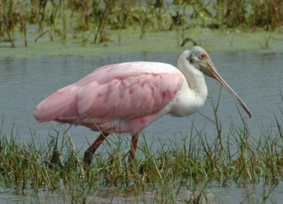 DSC_0025_edited-1.jpg